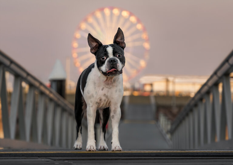 DSC09773 George COPY 05.08.2023 768x546