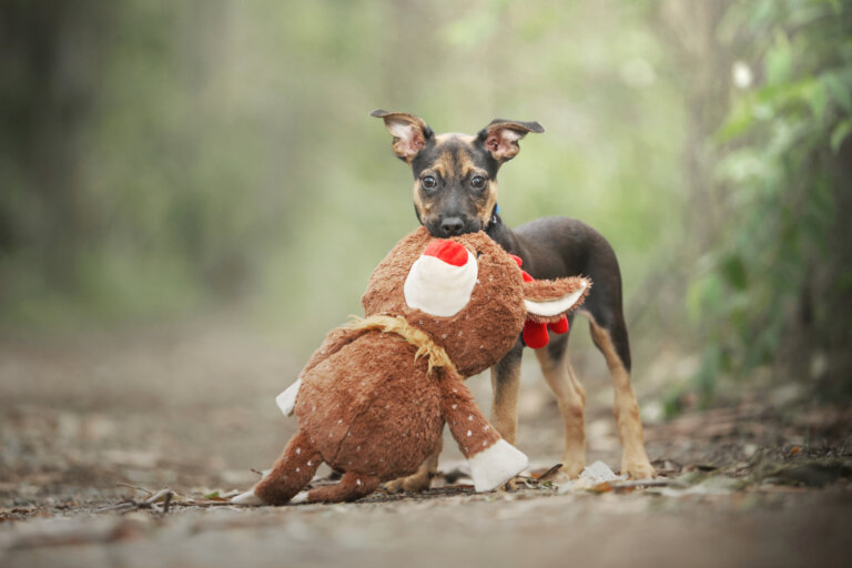 DSC1779 resized 768x512