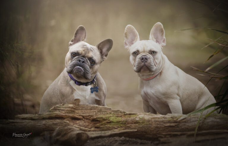 DSC2174 colour rework 768x493