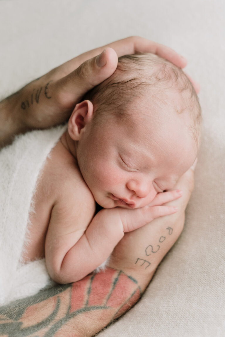 DSCF7180 websize 768x1152