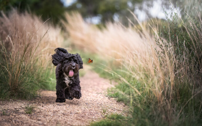 DSC 0177 Edit Edit 768x480