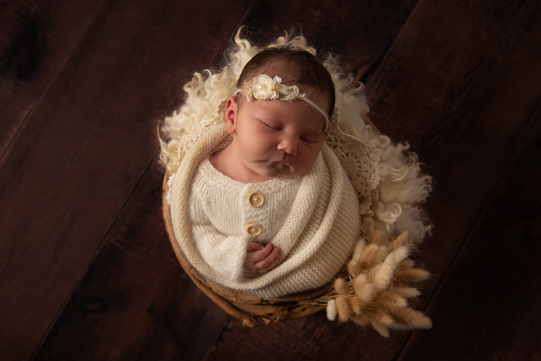 DSC 2864resized 768x513