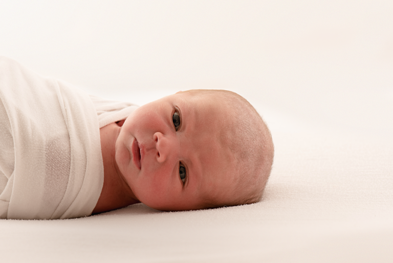 DSC 3445resized 768x513