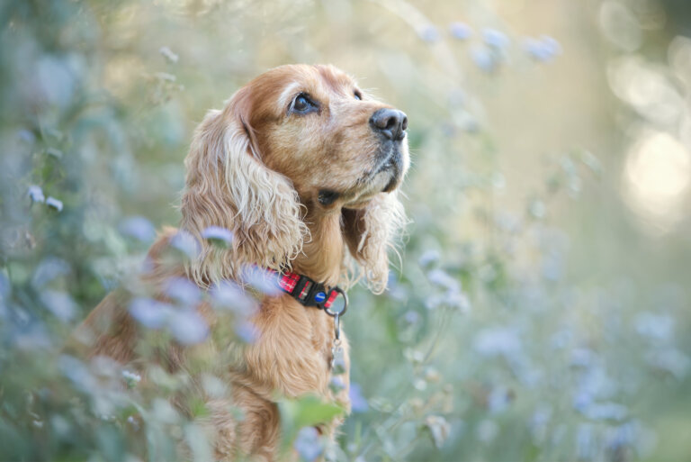 DSC 4695 resize 768x513