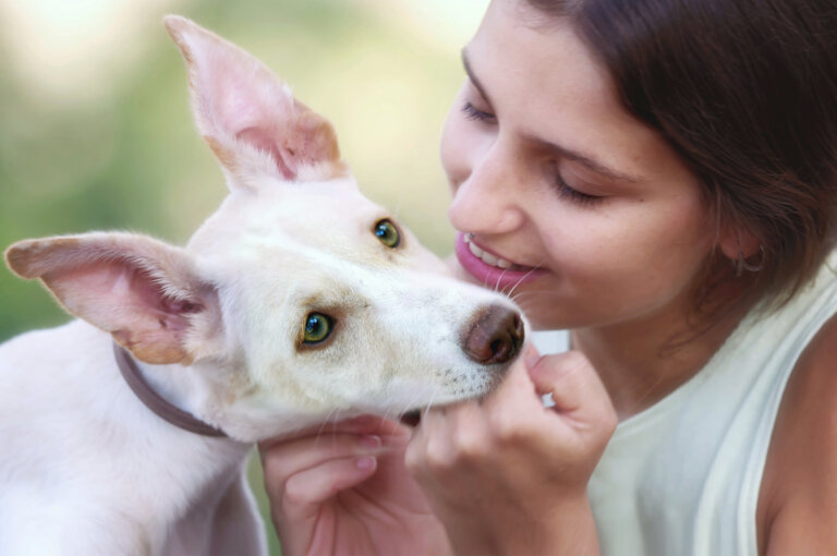 DSC 4865 resizedcorrected wb 768x510