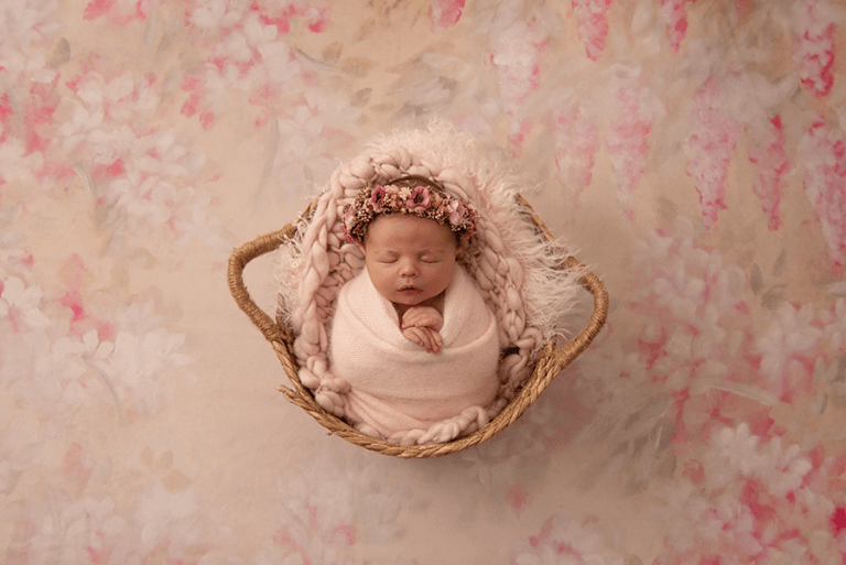 DSC 8013resized 768x513