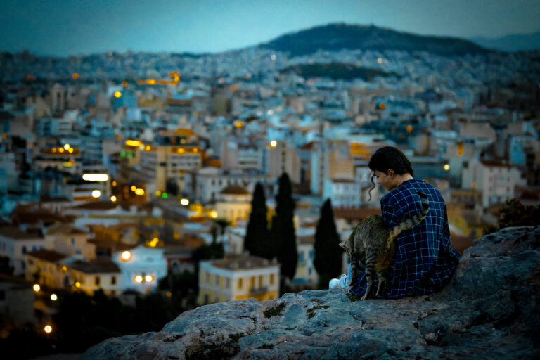 DSC 8429 Enhanced SR 768x512