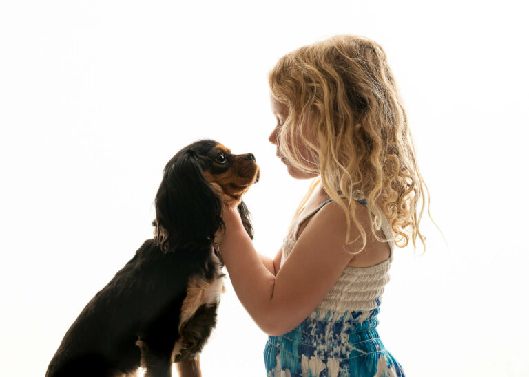 EssendonPetPhotographerMelbourne4 768x548