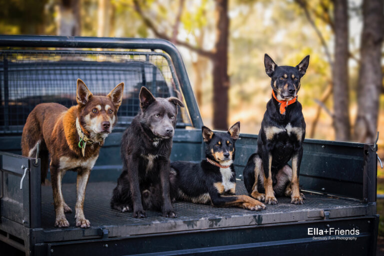 Facebook2227 768x512