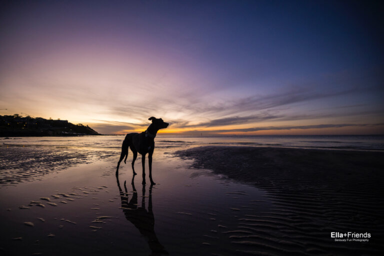 Facebook2403 768x512