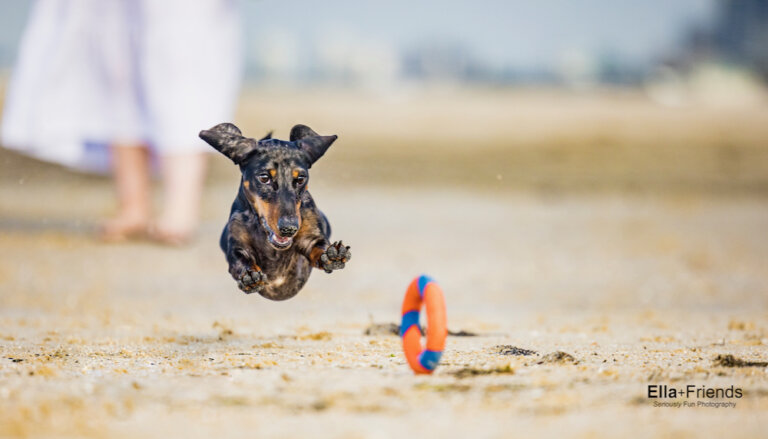 Facebook2428 768x439