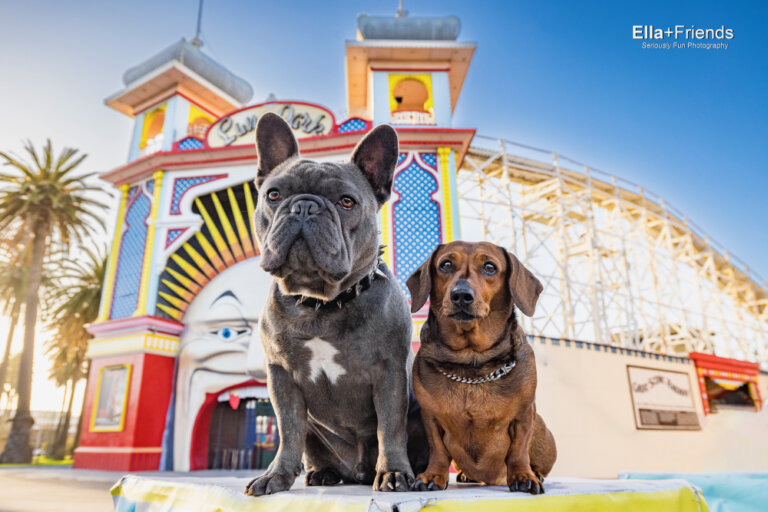 Facebook3037 768x512