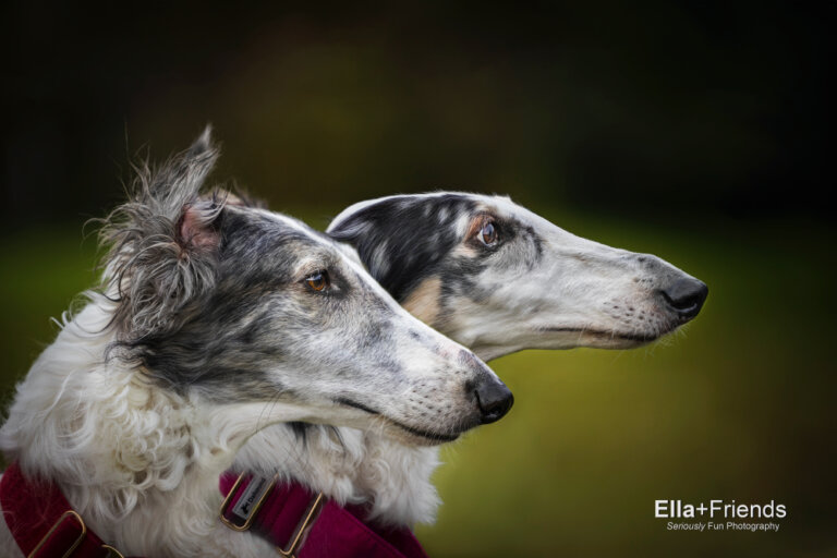 Facebook3108 768x512