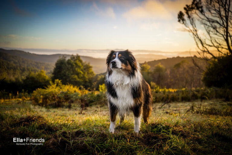 Facebook3214 768x512