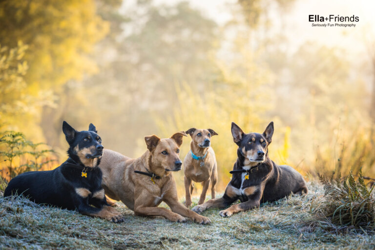 Facebook3242 768x512