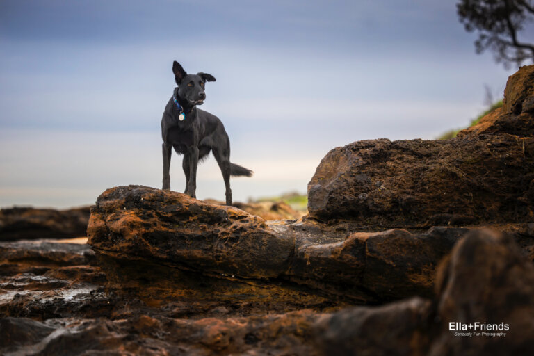 Facebook3279 768x512