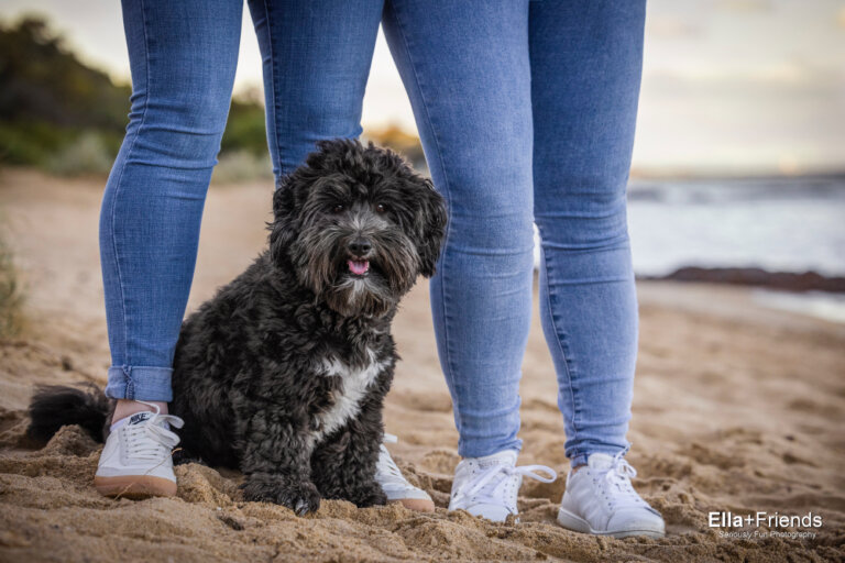 Facebook3284 768x512