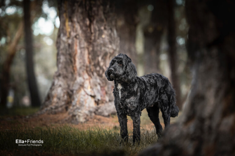 Facebook3289 768x512