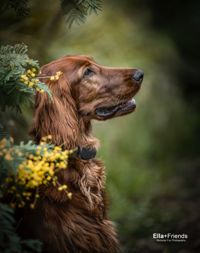 Facebook3302 768x968