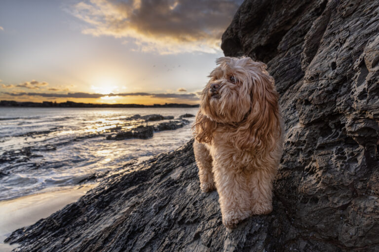 Favourite all time photo 768x512