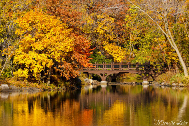 Fine Art Landscapes 15 768x512