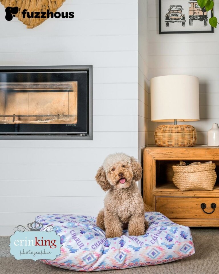 Commercial Pet Photography Commercial Pet Photography