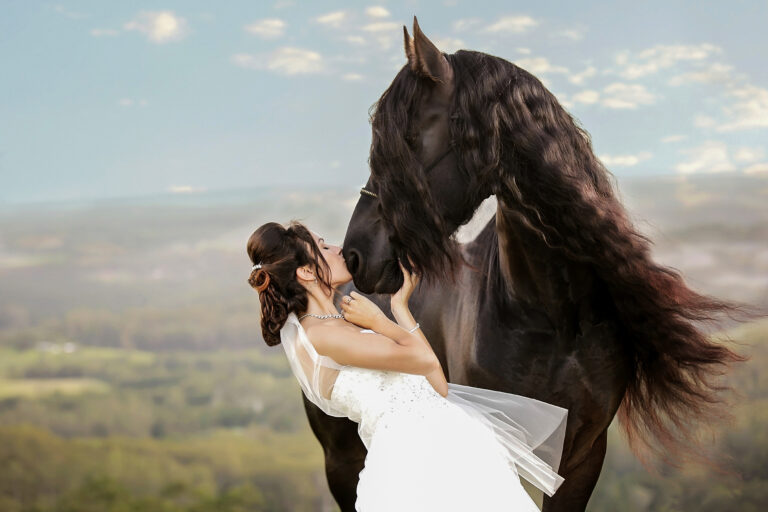Horse photographer Brisbane 768x512