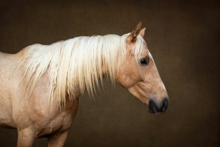 IMG 0317 Edit 768x512