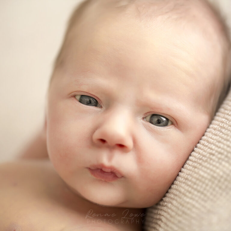 IMG 1868 copy 768x768