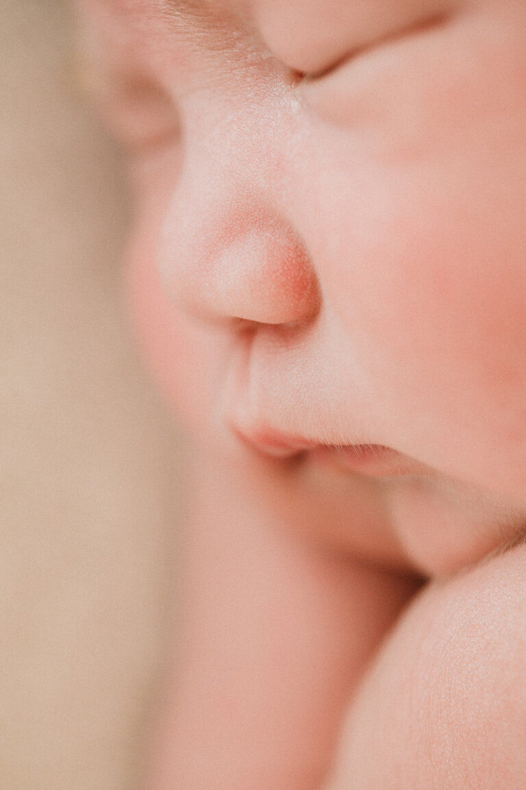 IMG 2422 2 websize 1 768x1152