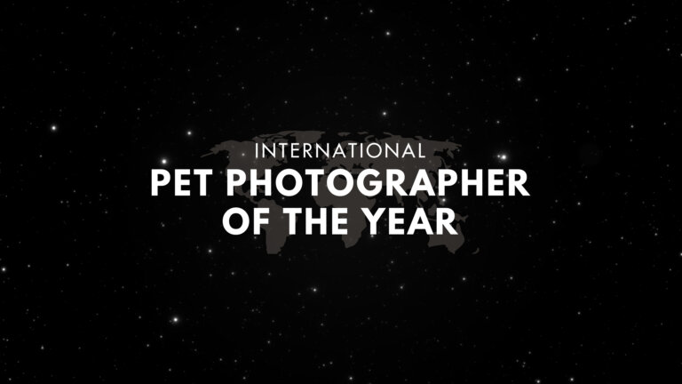 International Pet Photographer of the Year International Pet Photographer of the Year