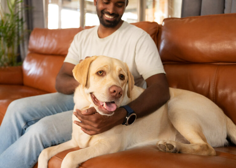 InhomedogphotoshootMelbourne11 768x548