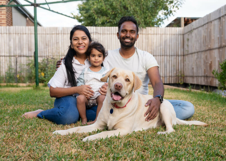 InhomedogphotoshootMelbourne3 768x548