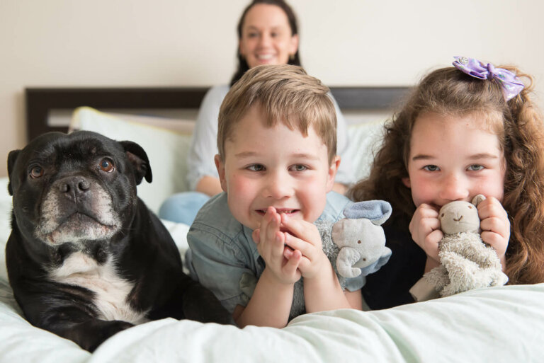 InhomepetphotographyMelbourne16 768x513