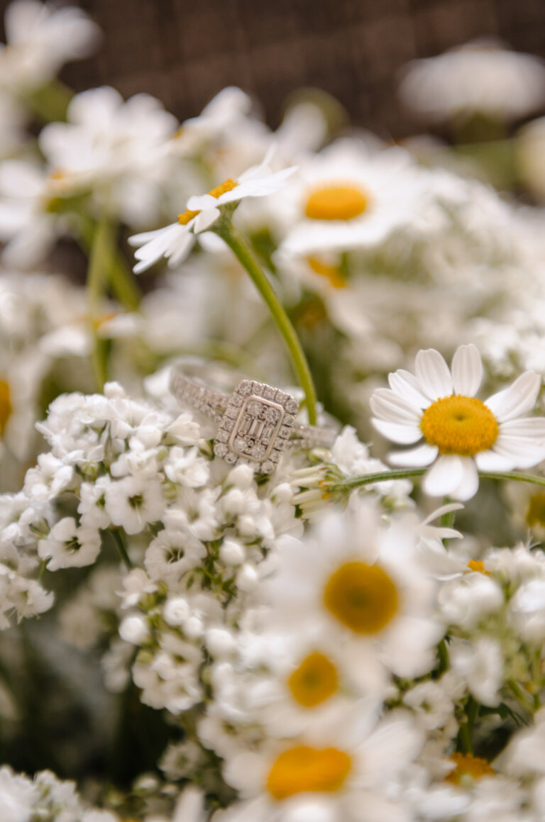 Jacinta Louise Photography 2 5 768x1159