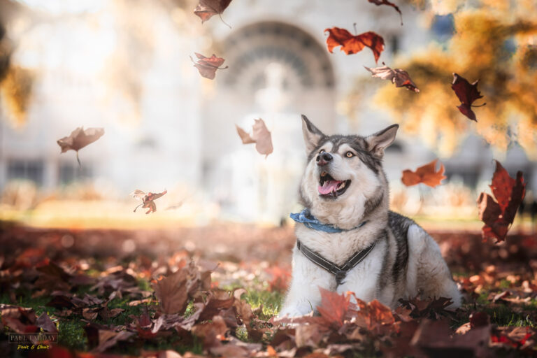 Juno TotW   12 Edit Edit 768x512