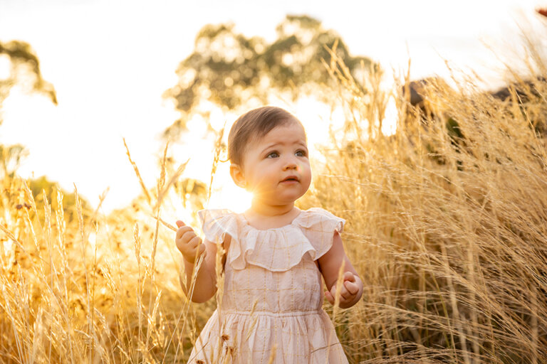 KJP DALZELL 3392 768x512