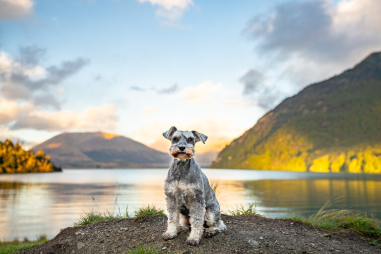 Kirsten Hough 04 768x512