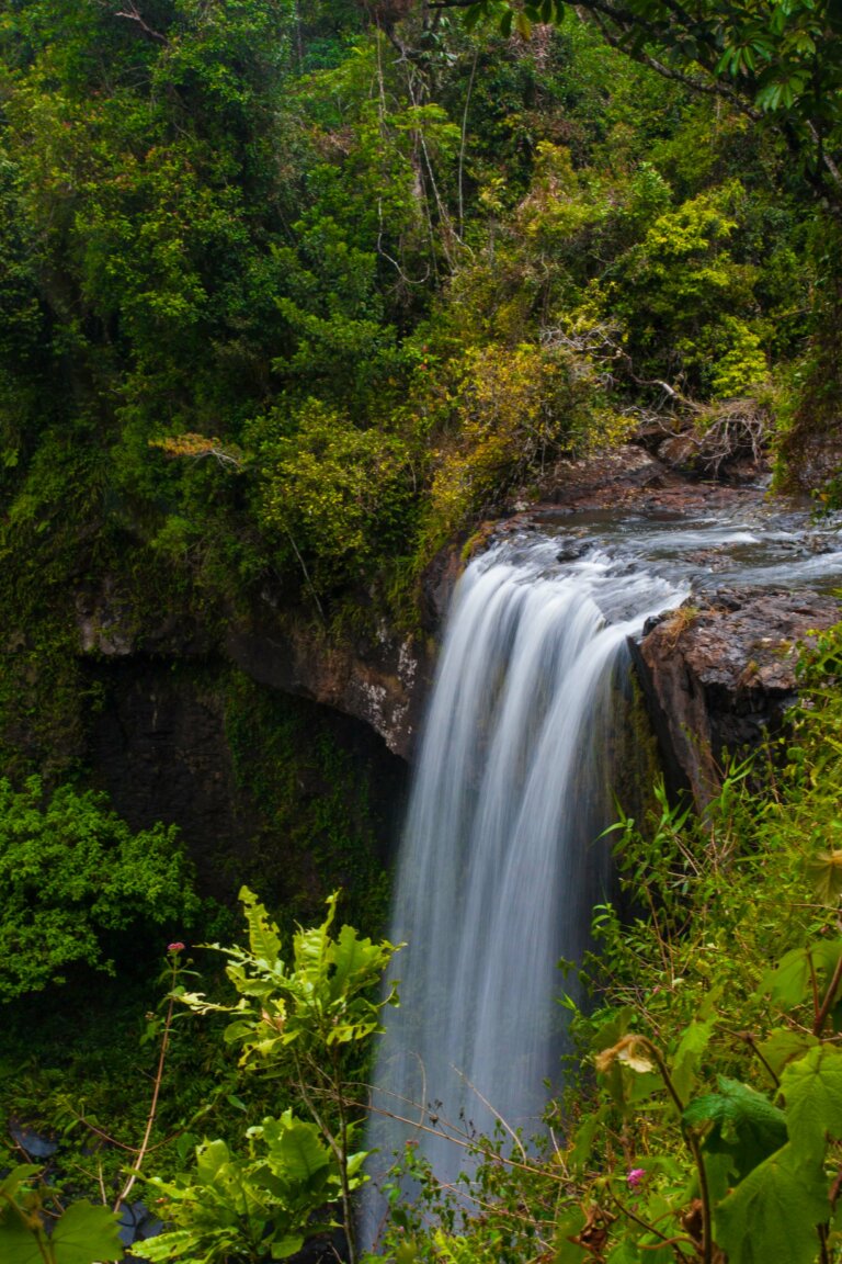 Landscape 6 768x1152