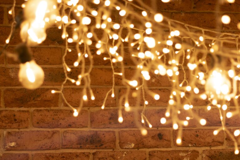 Laura Collins Fairylights 1 768x512