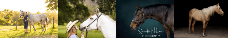 LinkedIN banner 768x130