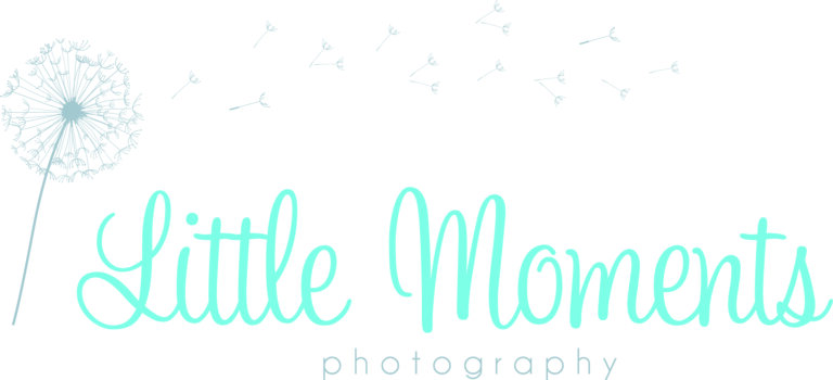 Logo jpg 768x350