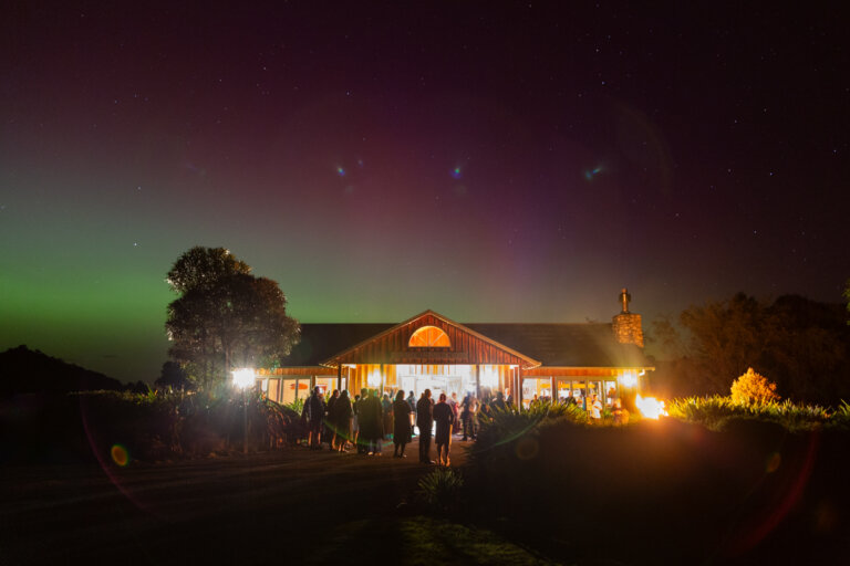 Lucalia Photography Cintia and Phil Wedding 2179 768x512