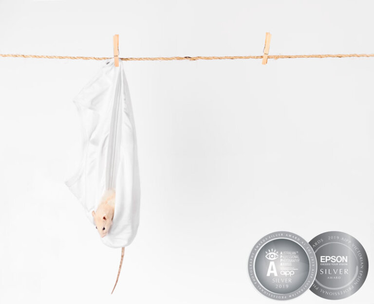 MEPP Rat Portrait Awards 768x623