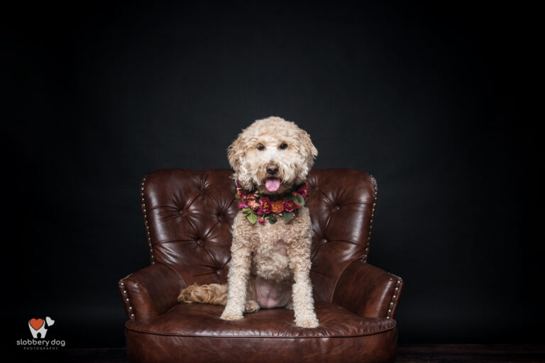 MJE 7650 Edit 768x512