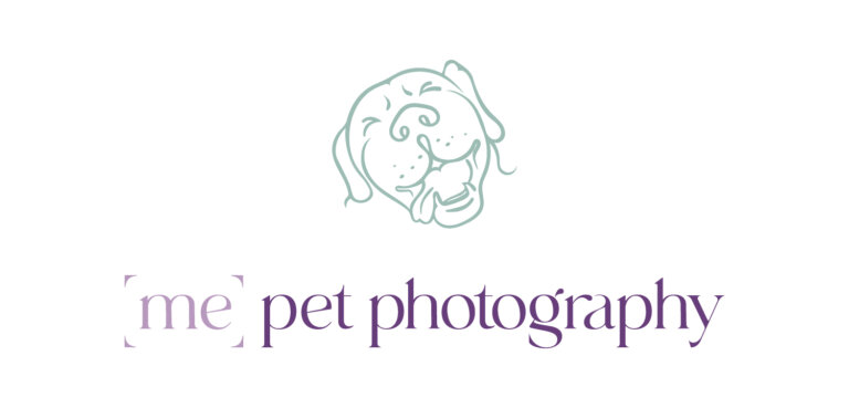 MPP Logo Stacked Colour RGB 768x369