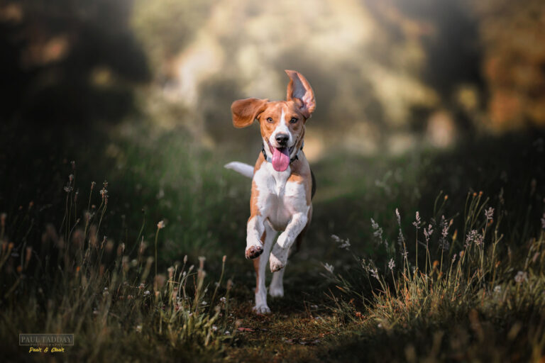 Maisey Milo FB 080123 6 768x512