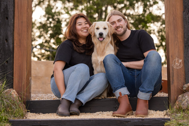 Mango the Golden Retriever and her Pawrents 768x512