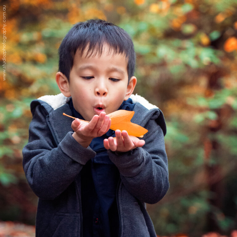 Melbourne autumn photography 6262 768x768