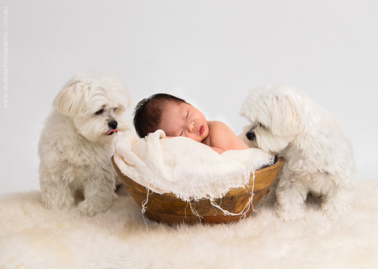 Melbourne newborn photographer 9158 768x548